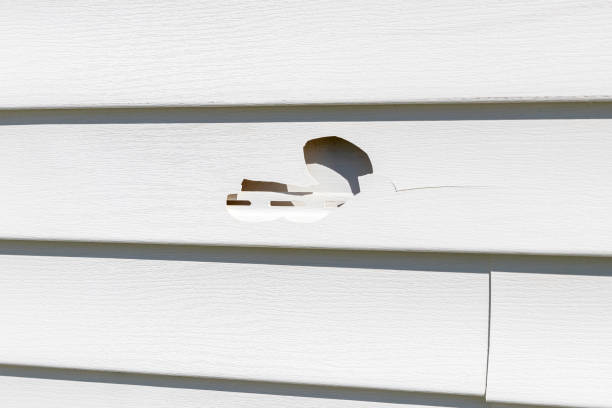 Best Shed Removal  in Warm Springs, OR